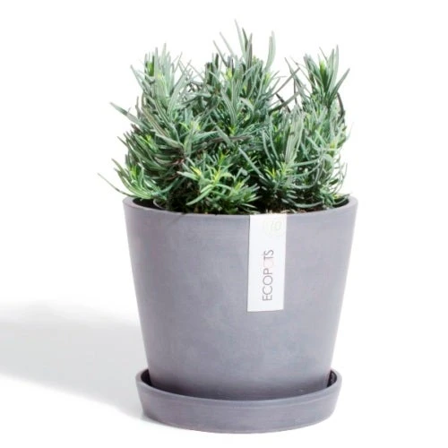 EcoPot Saucer - Amsterdam Blue-grey - Image 2