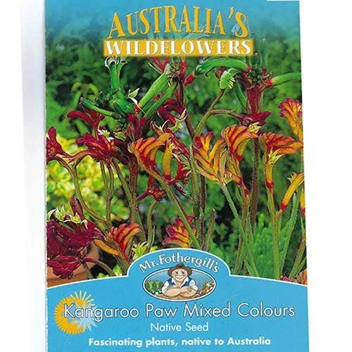 Australian Wildflower Kangaroo Paw - Seed - Image 2