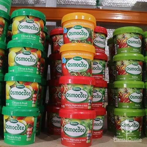 Osmocote 700g Fruit, Citrus, Trees & Shrubs Fertiliser - Image 3
