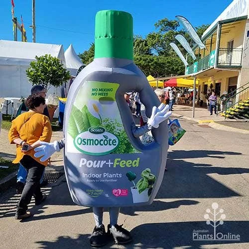 Osmocote 1L Pour + Feed Cacti And Succulent Fertiliser - Image 3