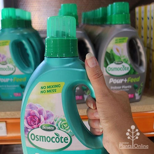 Osmocote 1L Pour + Feed Cacti And Succulent Fertiliser - Image 2