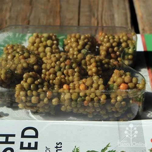 Miracle Gro Push & Feed Plant Food - Image 2