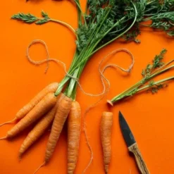 Carrot All Year Round - Seed