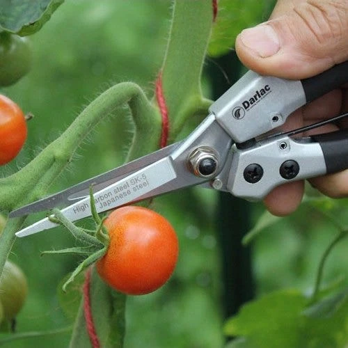 Compact Snips - Image 3