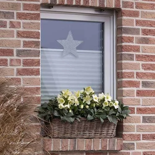 Hellebore Ice Breaker Max - Winter Rose - Image 2