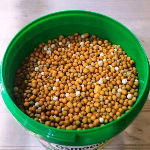 Osmocote 700g Fruit, Citrus, Trees & Shrubs Fertiliser - Image 2