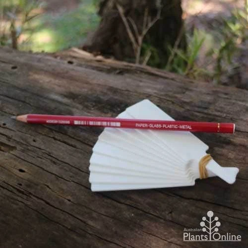 All-surface Pencil - Image 2